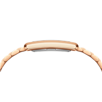 Montre Daniel Wellington Femme The Bound in Acier DW00100699 - DW00100699